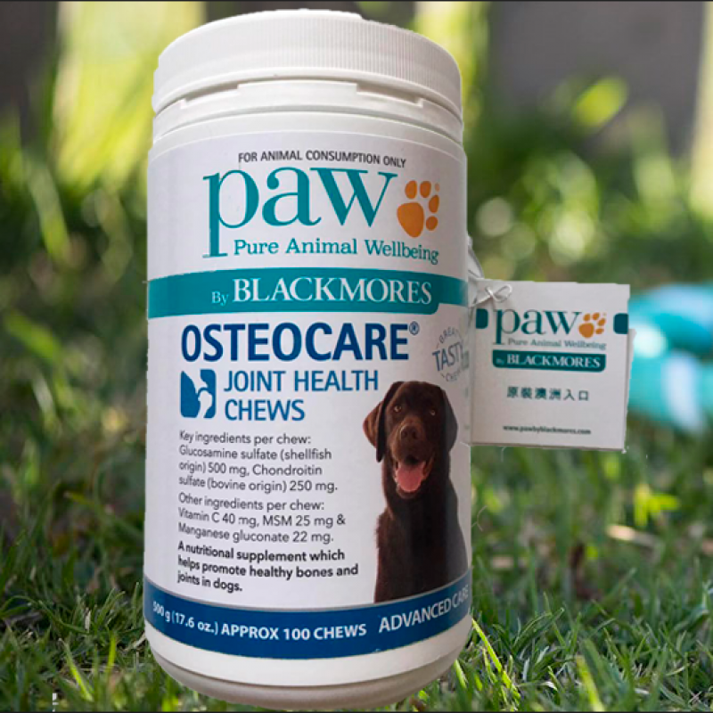 Paw osteocare top